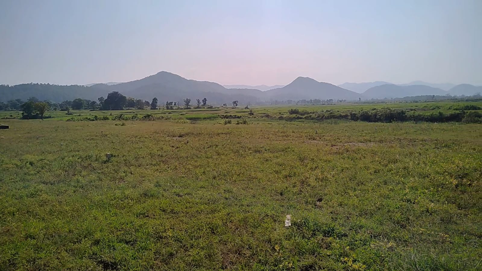 WhatsApp Image 2026 02 25 At 12.40.09 PM 1